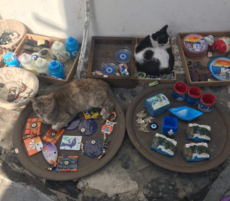Cats sitting on clay plates full of souvenirs
