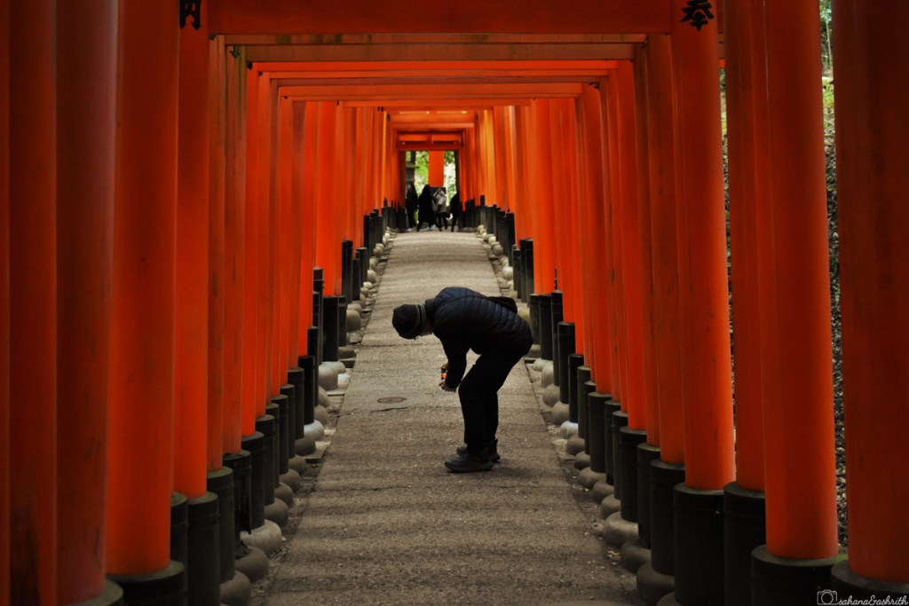 series of saffron coloured entrance tori and a man standing in between at Kyoyo,Japan