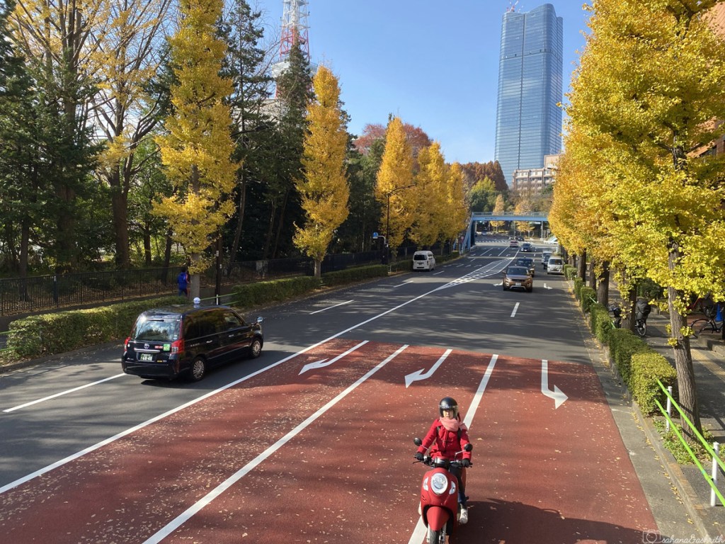 road of tokyo with avenue of yellow auyumn leaves trees leading to skyscraper in december
