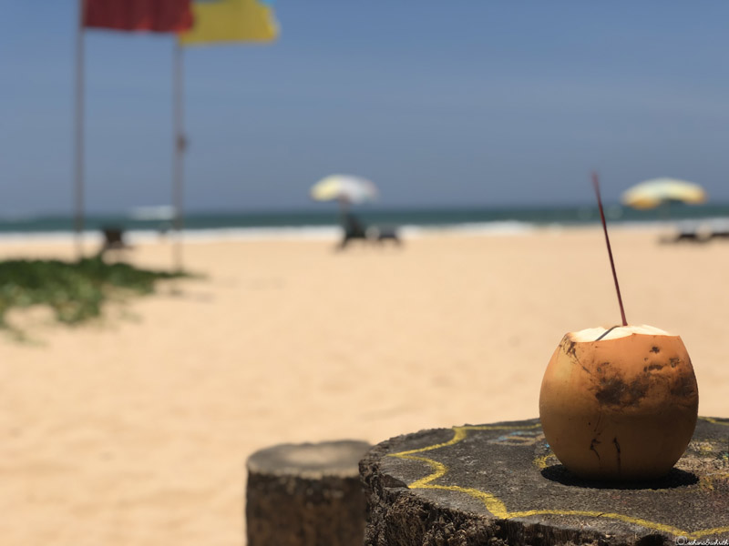 gendali Bonda - Open coconut with a straw placed on a wooden bark on Bentota beach.