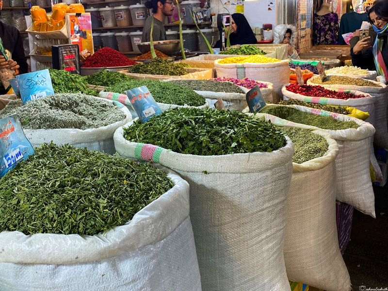indian woman traveller in hijab taking photos of dried green leaves in spice shop at isfahan bazaar