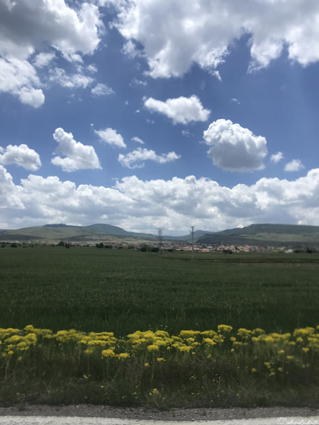 green fields with yellow flowering plants lining the fields on the way to ihlara