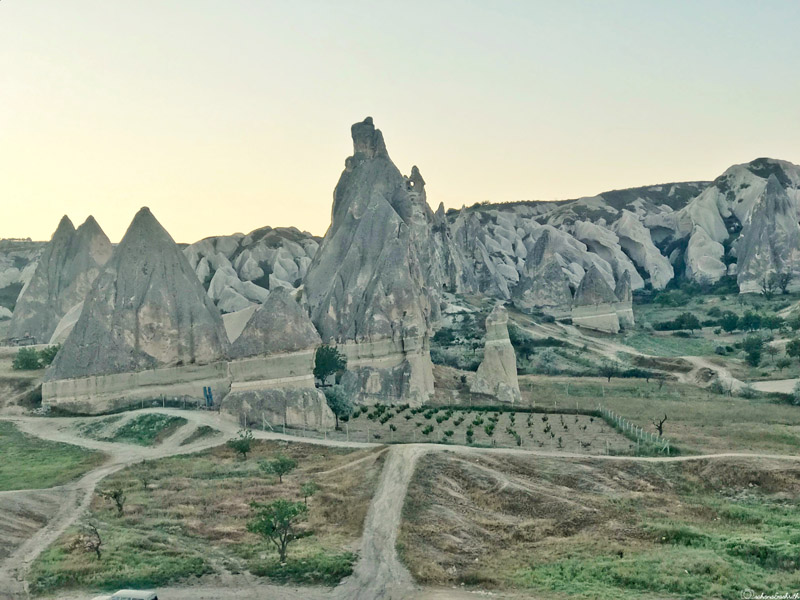 vineyards of cappadocia
