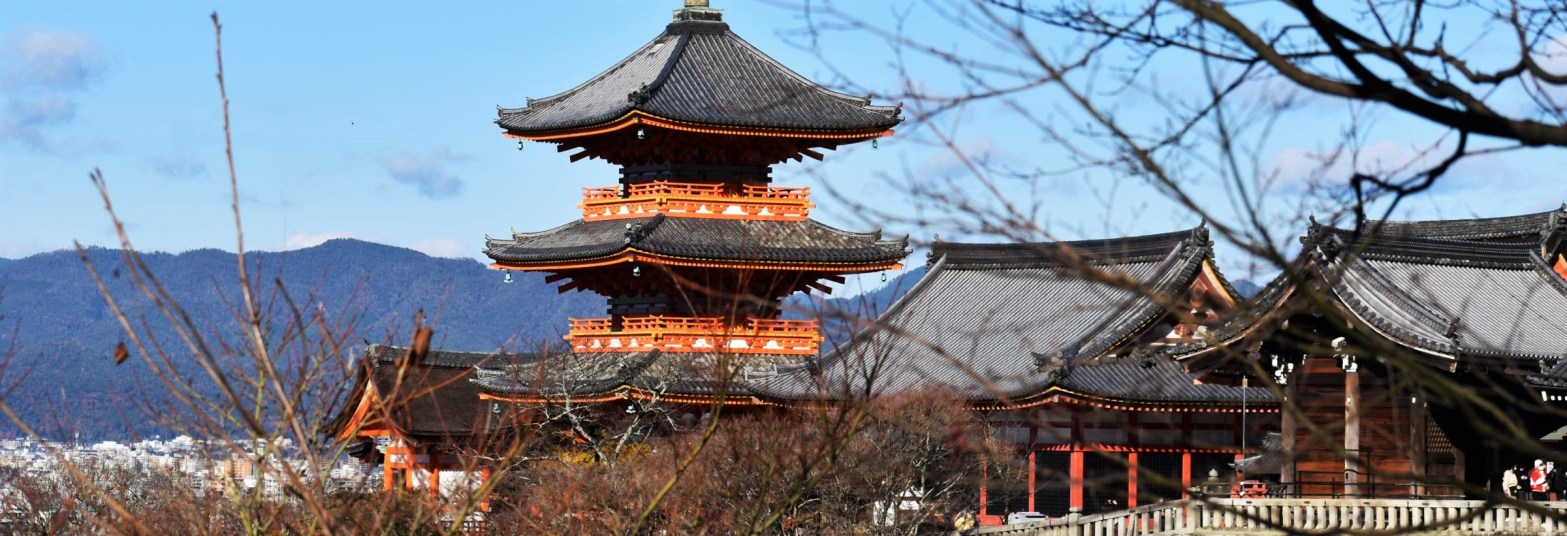 group of temples with an orange colour tall pagoda in tokyo