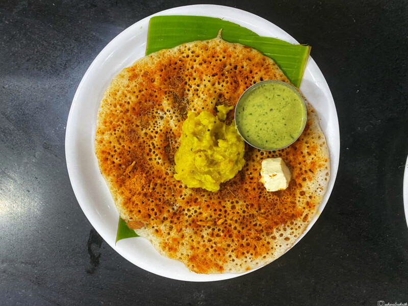 Mysore masala dosa with chutney and curry on a white plate at GTR in Mysore