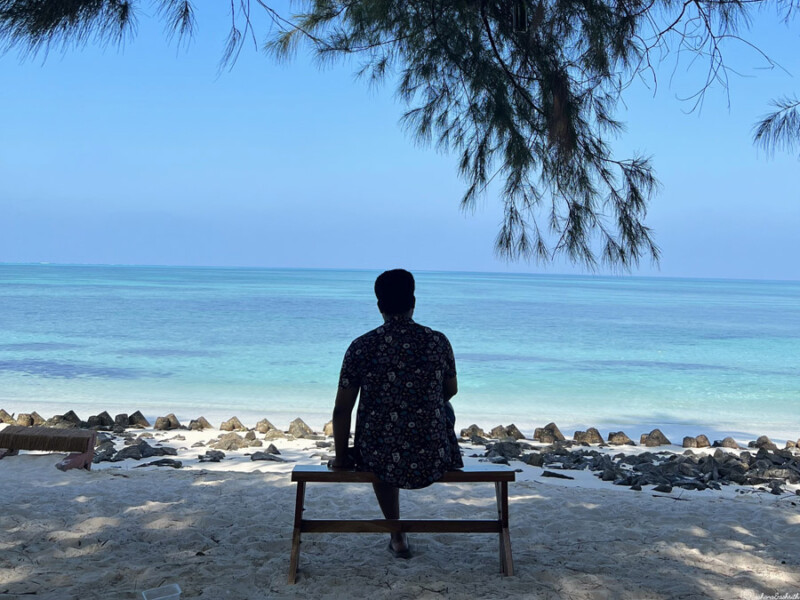 A person sits on a bench under a tree, gazing out at the serene turquoise sea