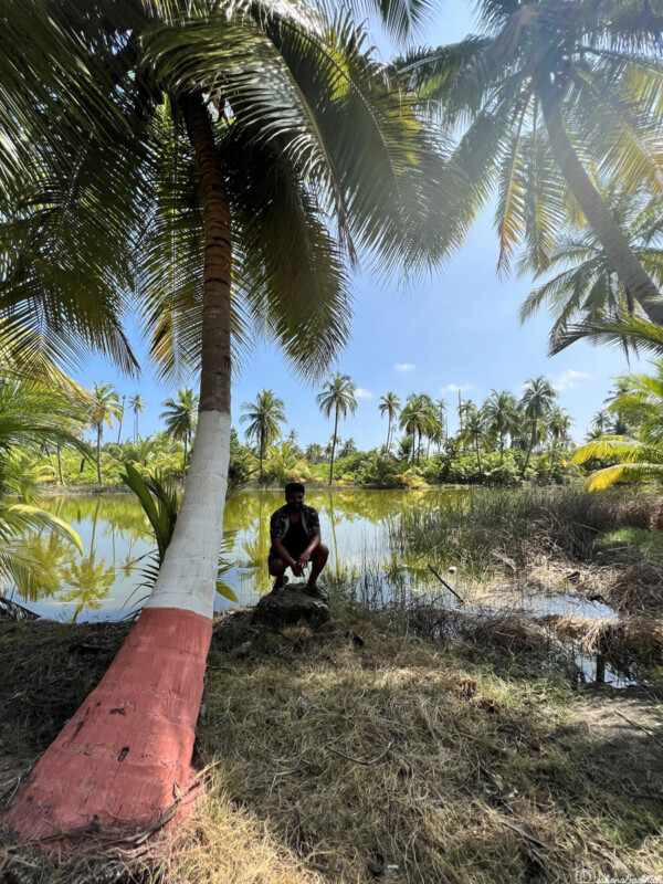 A man crouches next to a palm tree beside a serene pond surrounded by lush greenery