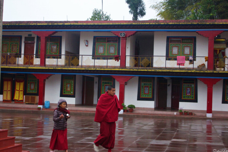 A Buddhist monk and a child, both in red robes, walk across a wet courtyard of a monastery with colourful buildings