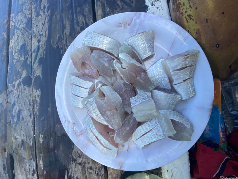 Several freshly caught fish lie on a wooden dock next to a knife and cloth