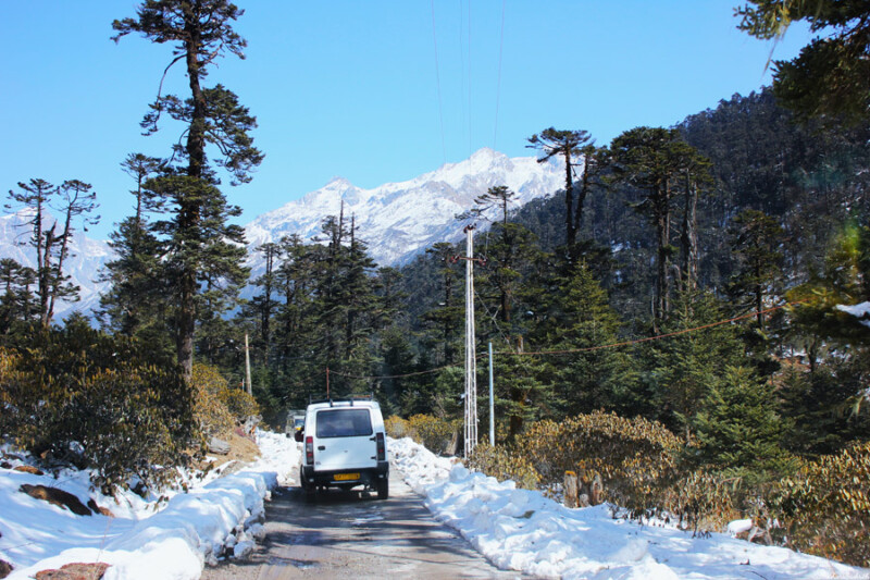 A white van drives on a snow-covered road flanked by tall trees with snow-capped mountains in the background