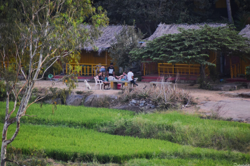 A group of people sitting and chatting outside rustic huts surrounded by greenery near sanapur village Hampi