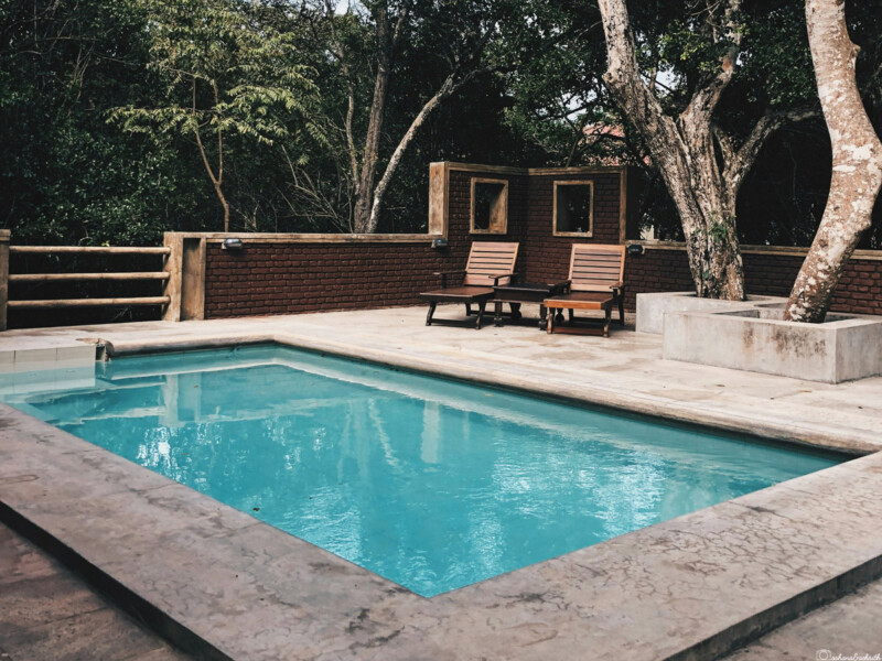 Outdoor swimming pool with lounge chairs and trees around it.