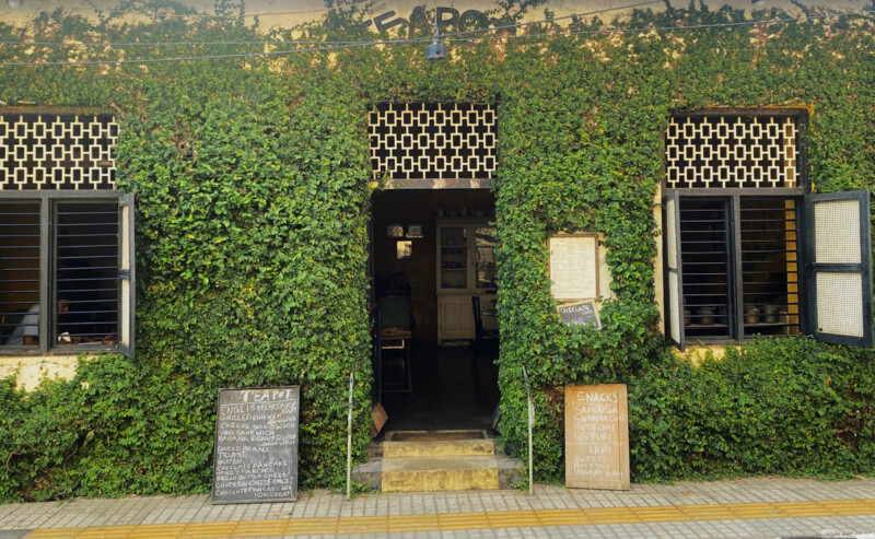 Tea Pot Cafe exterior covered in green foliage with open window