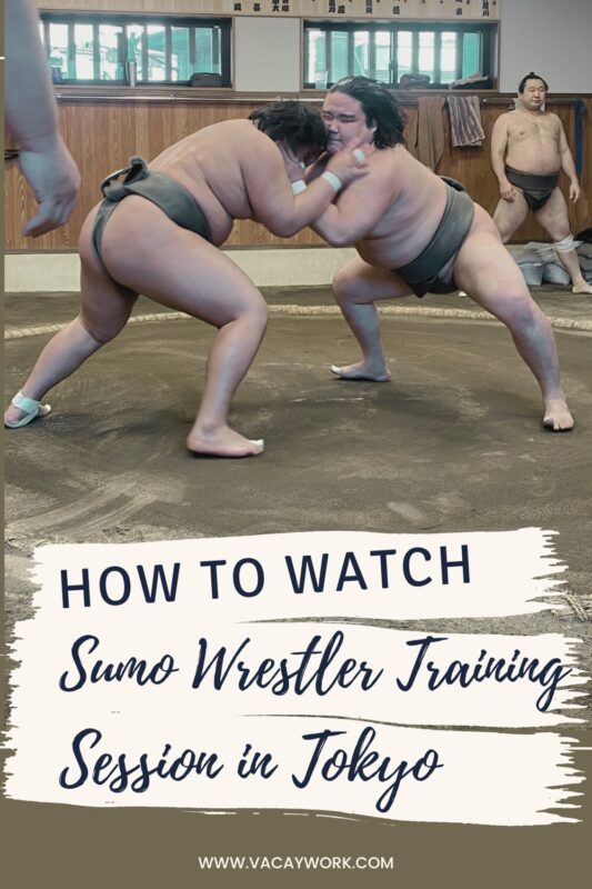 Two sumo wrestlers are engaged in practice, wrestling in the middle of a circular ring, with other sumo wrestlers watching nearby. The text overlay reads, "How to Watch Sumo Wrestler Training Session in Tokyo" along with the website URL 