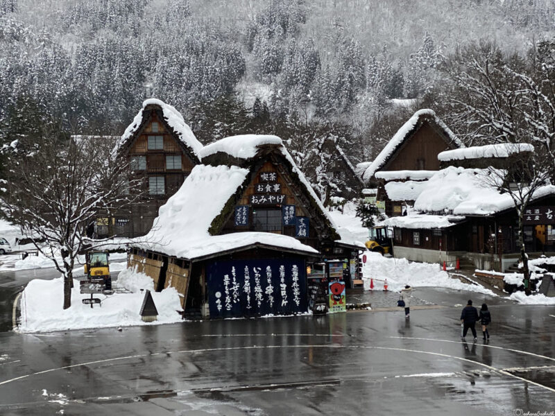 Snow-covered traditional houses in shirakawago  a winter village surrounded by a forest of snow-covered trees.
