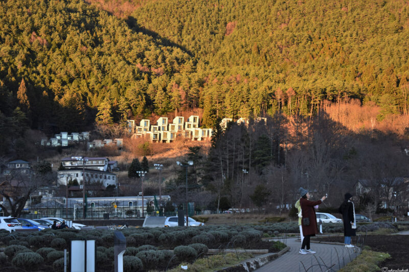 Two people taking a selfie in front of a picturesque view with modern houses nestled among a forested hillside during sunset at kawaguchi lake