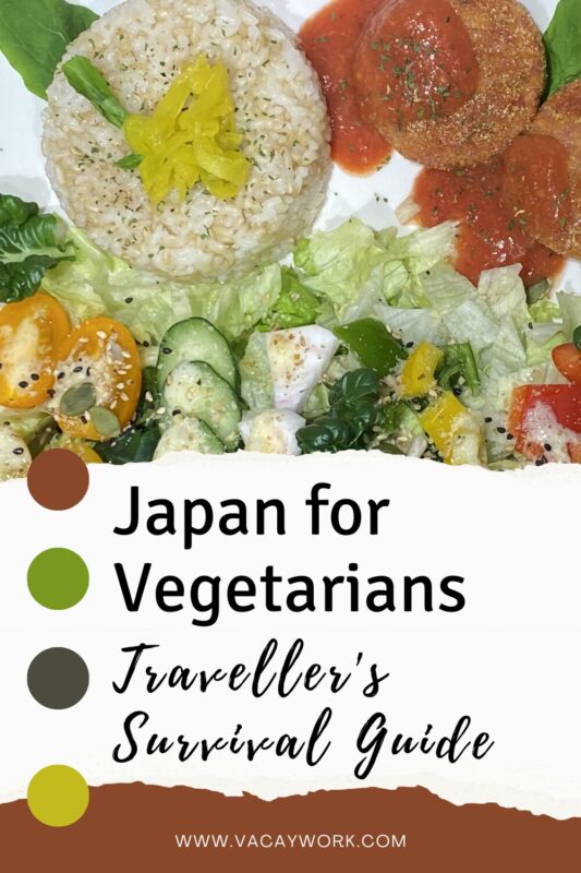 Plate of rice with vegetables and sauce, decorated with greens, with text that says 'Japan for Vegetarians – Traveller's Survival Guide.