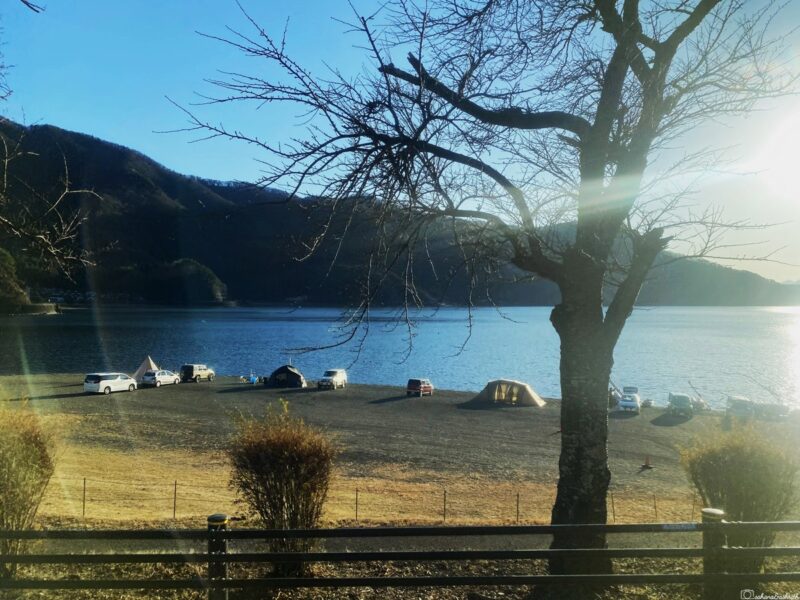 Saiko lake with parked cars and tents set up along the shore, framed by tree branches.