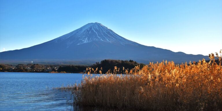 lake kawaguchi with tall grass with mount fuji partially covered in snow in the background