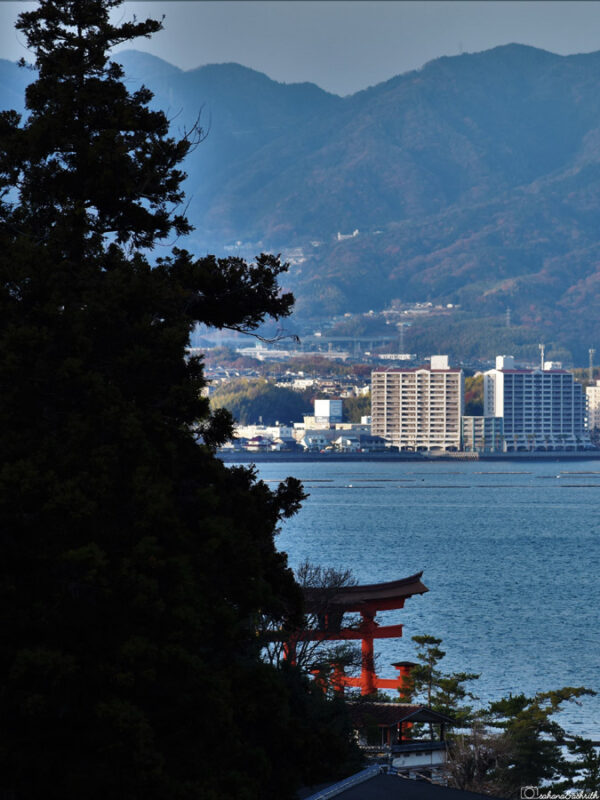 Red torii gate of Itsukushima Shrine partially hidden by dark tree silhouette, overlooking the sea with a distant view of buildings and mountains