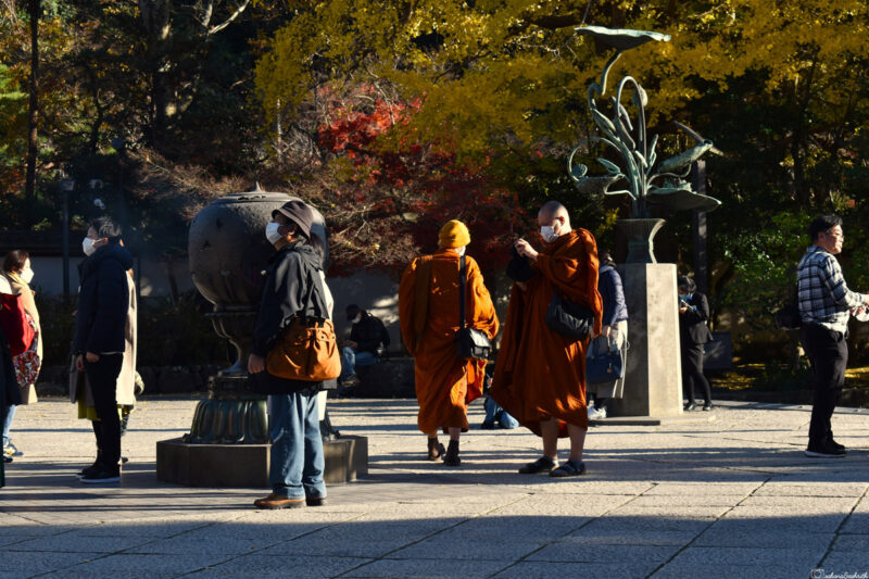 Monks in traditional orange robes, surrounded by autumn foliage, gather near a monument in Kamakura.