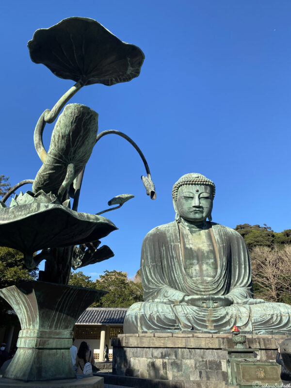the Great Buddha of Kamakura framed by lotus sculptures, blending nature