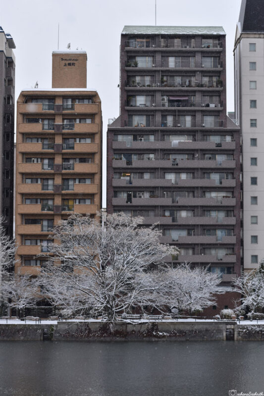 Riverbank view of Hiroshima with modern residential buildings and trees lightly dusted with snow, reflecting off the water on a calm winter day