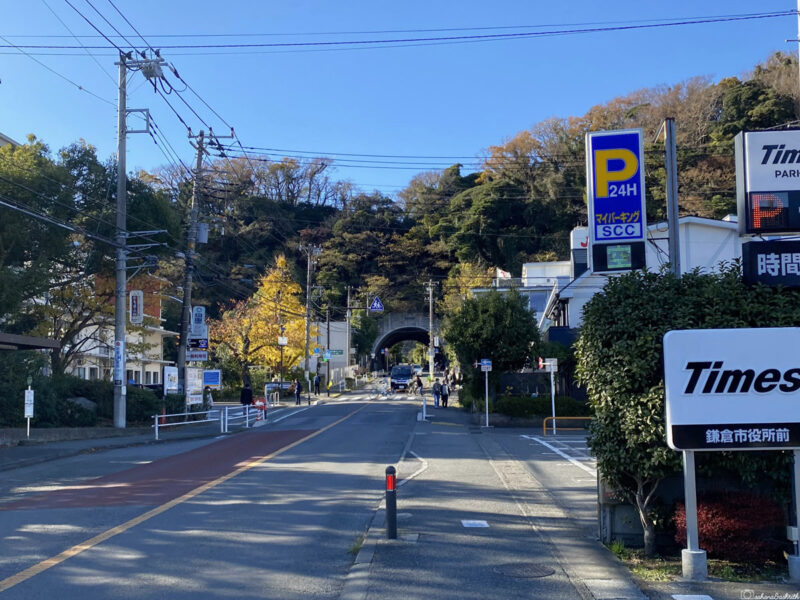 Kamakura road leading to a scenic hillside Sasuke tunnel, framed by autumn leaves and local shops
