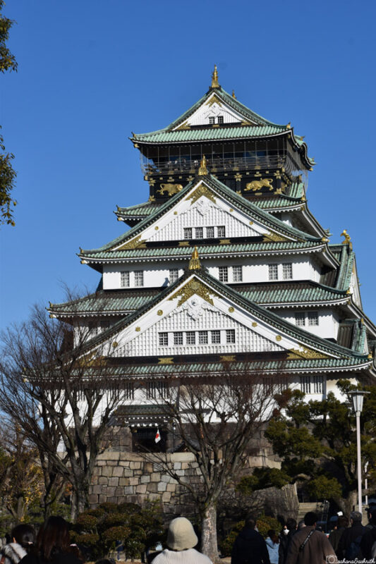 Front view of Osaka Castle under a clear blue sky, showcasing its historic architecture with golden details and surrounding trees.