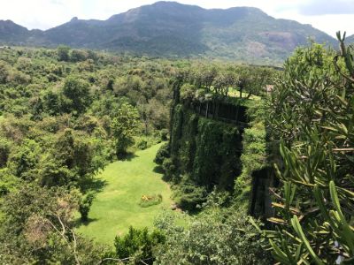 luxury hotel heritance kandalama covered in green and surrounded by mountains