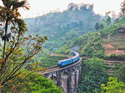 Blue train on Nine Arch Bridge in Ella, amidst lush greenery and tea estates