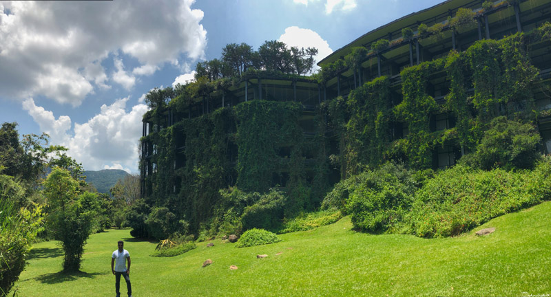 Heritance Kandalama luxury resort: Courtyard adorned with creepers and plants enveloping the entire building