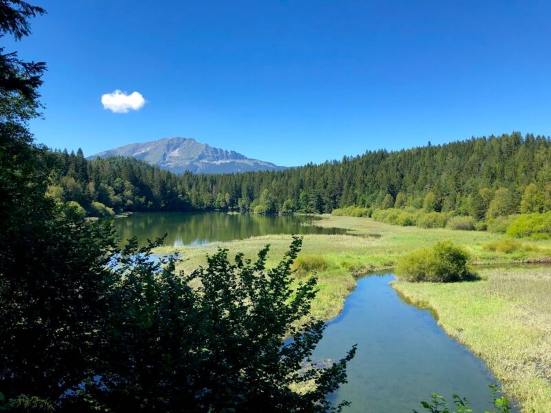 A calm forest lake reflects blue skies with mountains in the background near Puchenstuben