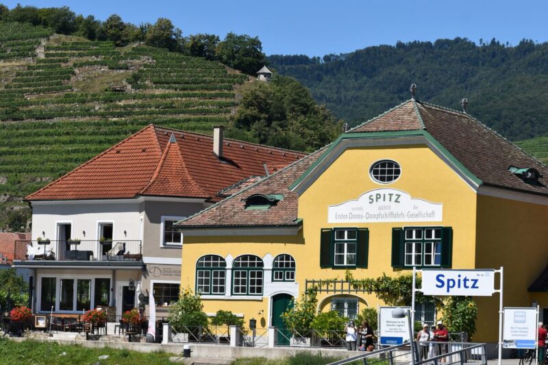 ChatGPT said: Sloped-roof building at Spitz boat dockyard, surrounded by vineyards and hiking trails in lush greenery by the riverside in Wachau Valley.