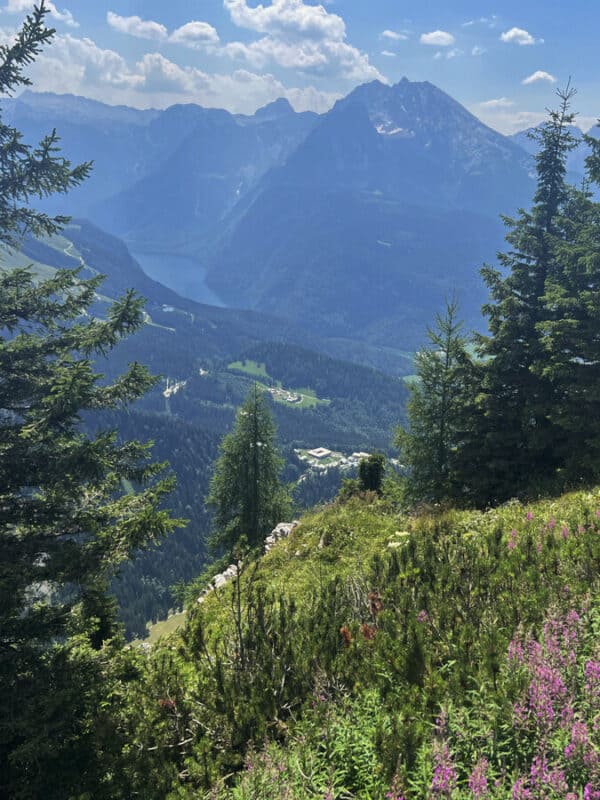 View of Königssee Lake from a mountain ridge near Eagle’s Nest, framed by pine trees and wildflowers with dramatic peaks in the distance