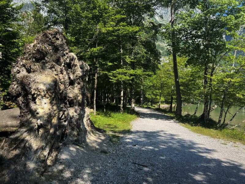 Peaceful shaded trail through a forest beside Bartholomä Königssee, with tree roots and glimpses of the lake on a sunny day.