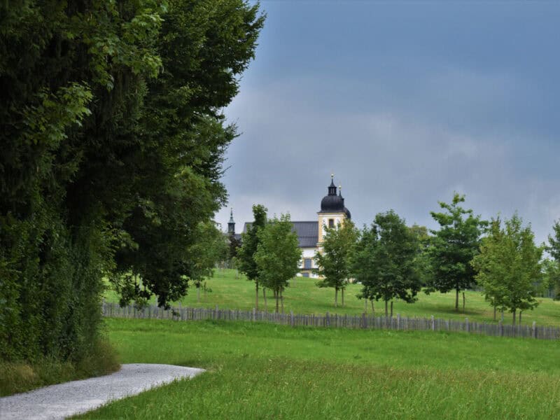 Distant view of Maria Plain church towers peeking above trees on paxnatural burial ground