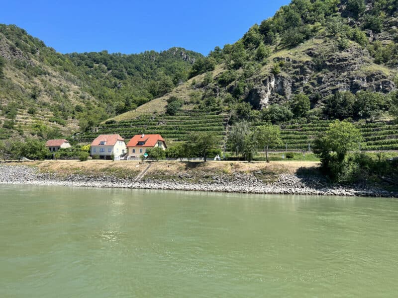 Three small houses with red and pale roofs sit at the foot of terraced vineyards on steep rocky hillsides beside the Danube River, under clear blue skies