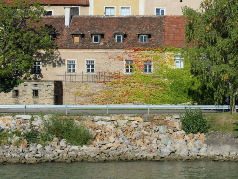 Old riverside building in Dürnstein with red-tiled roof and walls partly covered in green and red climbing vines, seen across the rocky riverbank under bright sunlight.