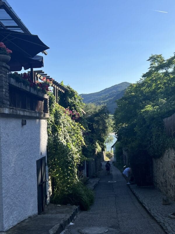 Narrow downhill lane in Dürnstein bordered by stone walls and lush green plants, with views towards the blue Danube river and distant hills under a clear sky.