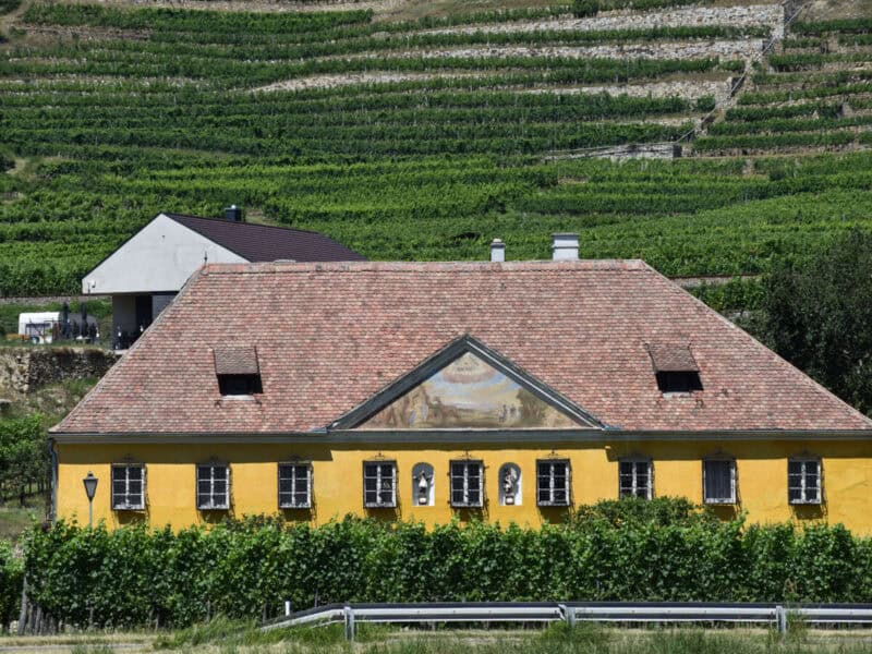 Yellow building with a tiled roof, decorative statues, and painted mural on the gable, surrounded by green vineyards on terraced slopes in Austria’s Wachau Valley.