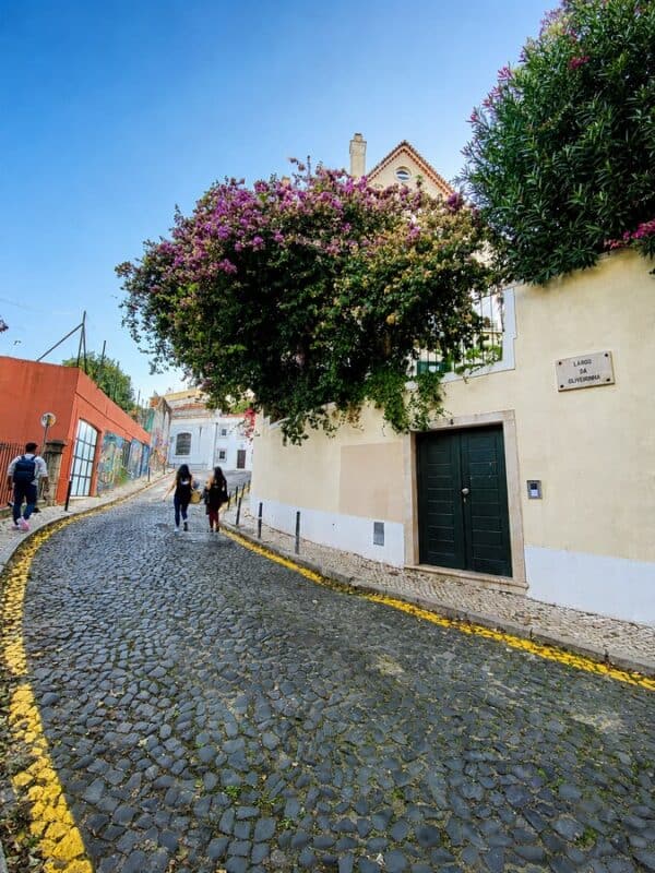 Travessa do Fala-Só in Lisbon with a cobbled lane, blooming bougainvillea and colourful street art