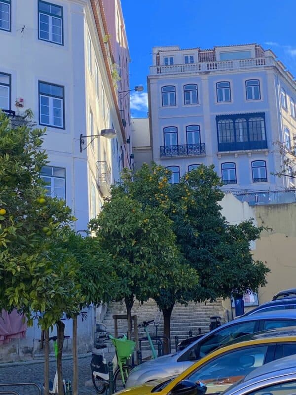 Rua da Mãe d'Água in Lisbon with orange trees, parked cars and historic apartment buildings