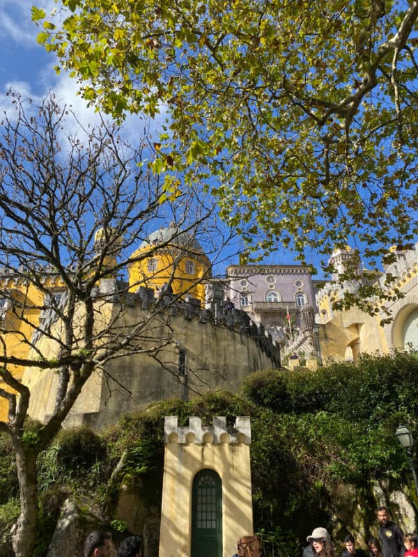 Colorful buildings and trees in Sintra Portugal during daytime.