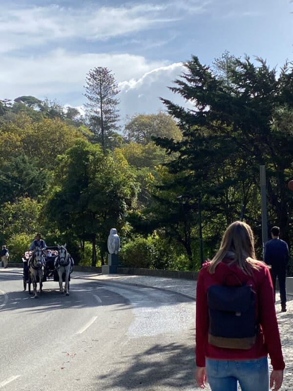 Horse drawn carriage travelling along Sintra Town Hall street