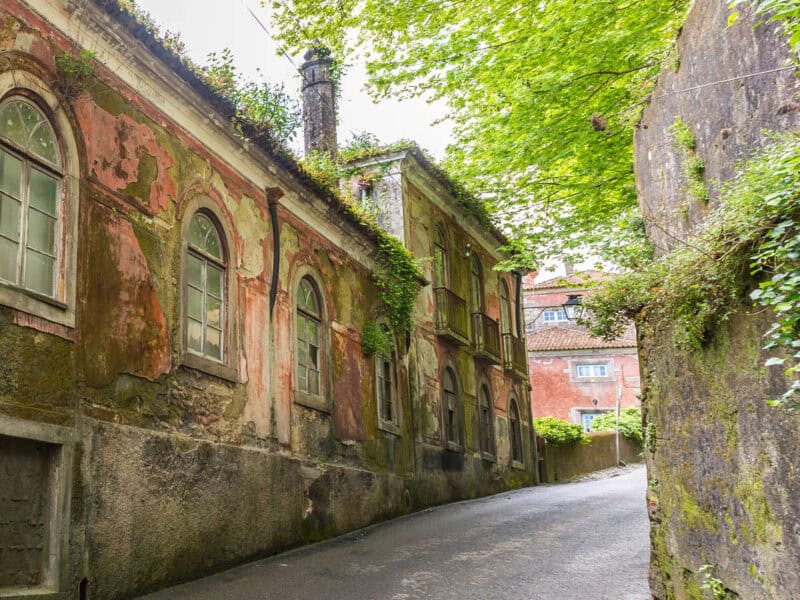 Moss-covered buildings along a narrow road leading to Monserrate Palace in Sintra.