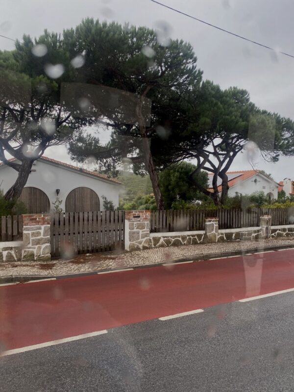 Mansions and scenic villages viewed through the window of the historic Sintra tram