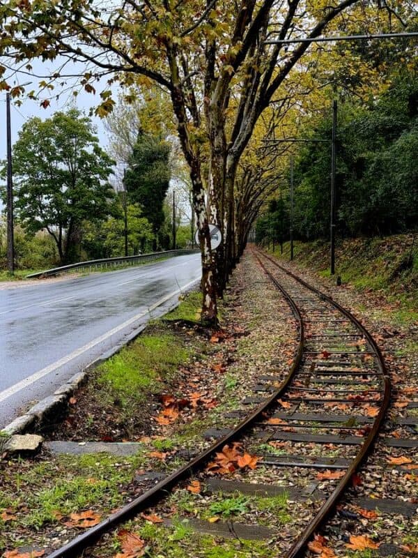 Old railway tracks winding through autumn trees in 25th April Avenue Sintra Portugal beside a quiet road.