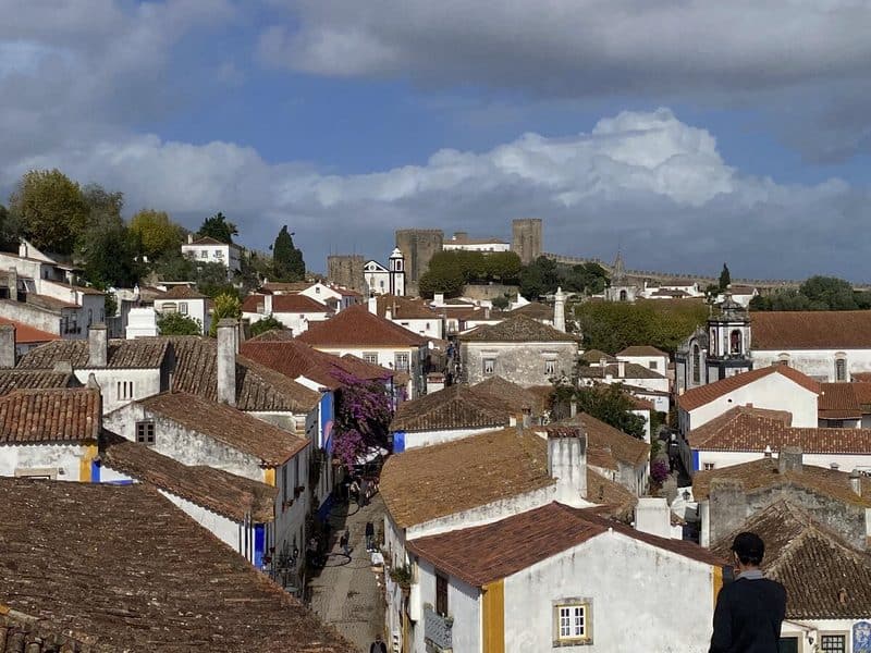 Cluster of whitewashed houses along Rua Direita, with bougainvillea plants and Óbidos Castle visible in the distance from Miradouro Porta.