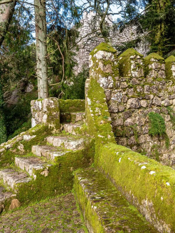 Moss covered stone ruins and narrow steps wind through the forest near Moorish Castle in Sintra.
